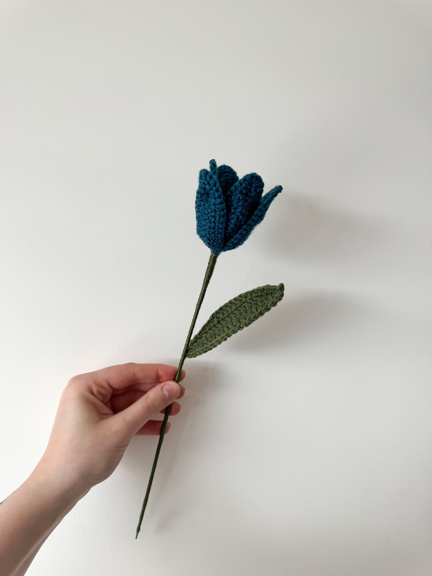 Tulipe