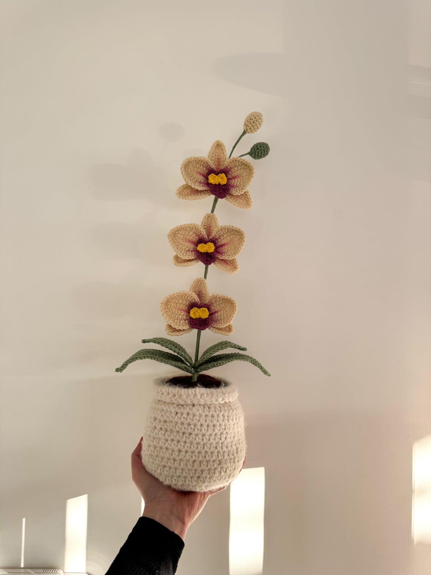 Fleurs en pot