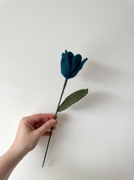 Tulipe